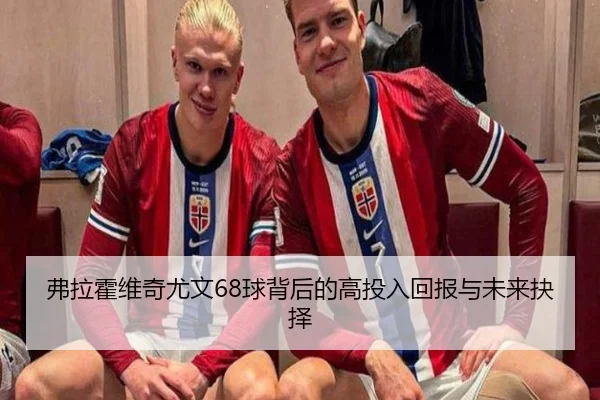 弗拉霍维奇尤文68球背后的高投入回报与未来抉择 - LEYUSPORTS